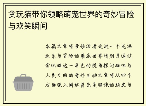 贪玩猫带你领略萌宠世界的奇妙冒险与欢笑瞬间